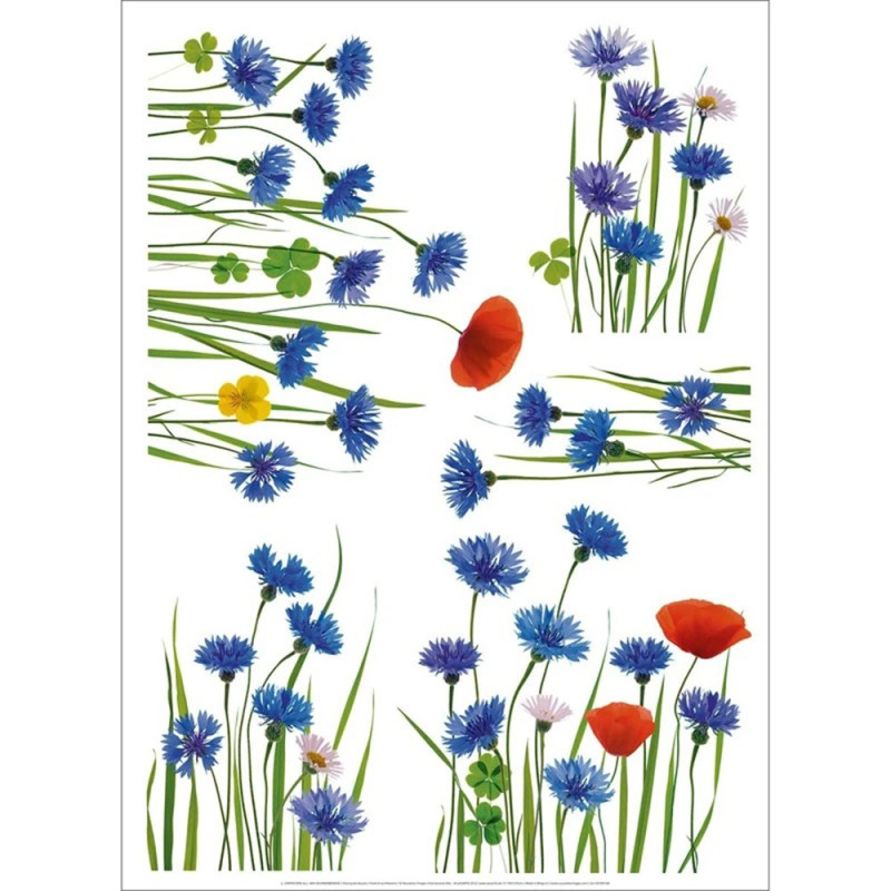 Autocollants Fenêtre Animaux (chien, Chat, écureuil) - PVC électrostatique, 120x30 Cm, Sans Colle - Décoration Printanière Réutilisable
