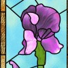 Vitrail fleur, grand iris